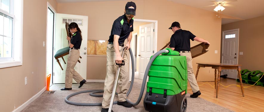 Laxon, NC cleaning services